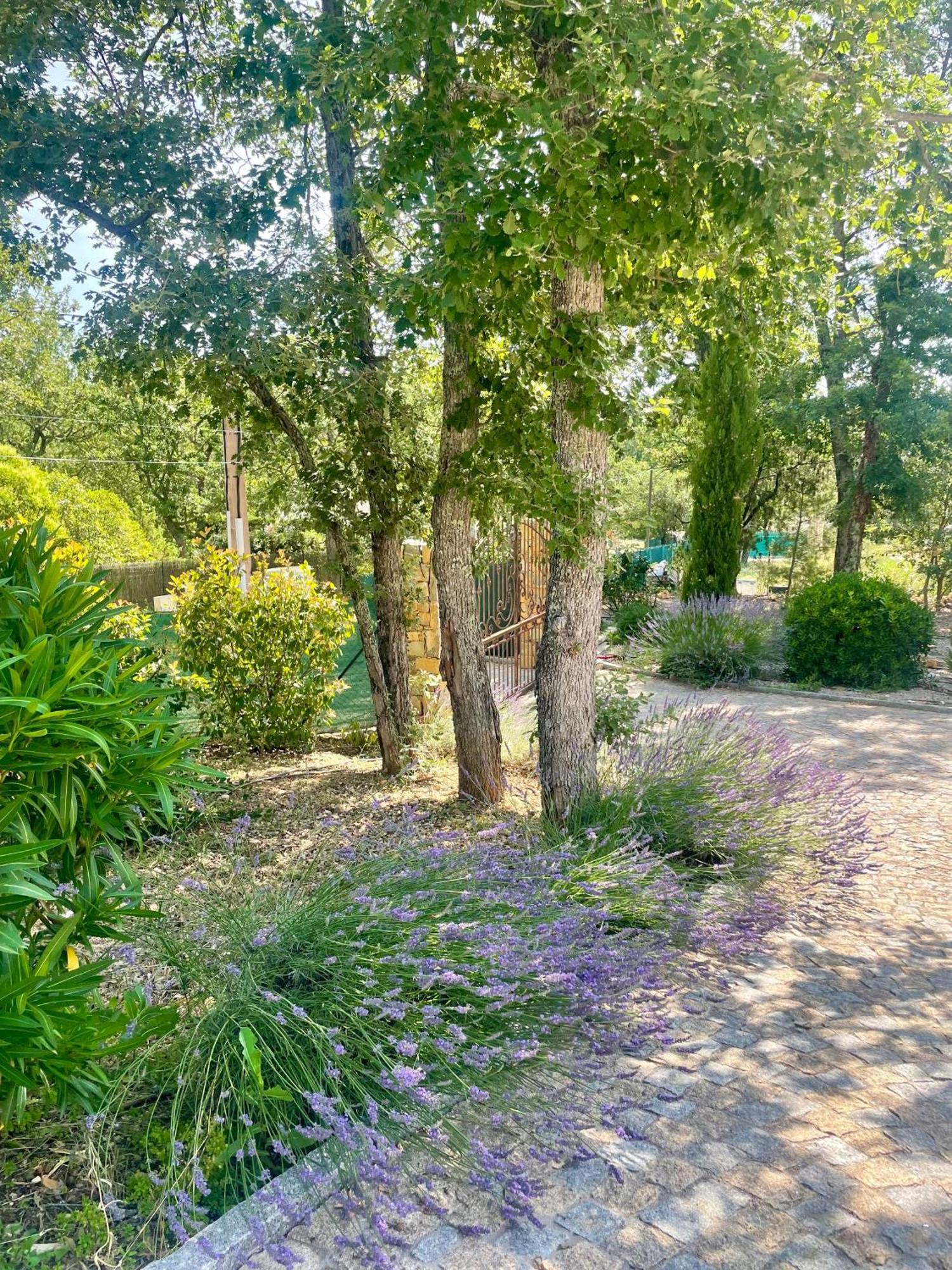 Superbe Villa Seillans La Grande Bastide Avec Piscine, Jardin, Climatisation Et Salle De Sport Exterior photo